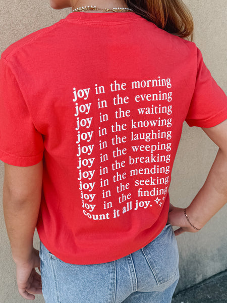 Count it All Joy Tee